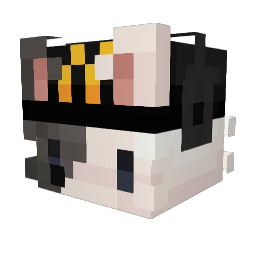 Feijoa___ Minecraft avatar head, 3D render