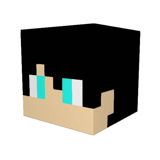 Feilong9387 Minecraft avatar head, 3D render