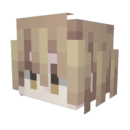 Feilst Minecraft avatar head, 3D render