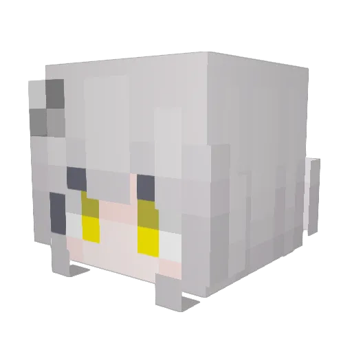 Feilvantisy Minecraft avatar head, 3D render