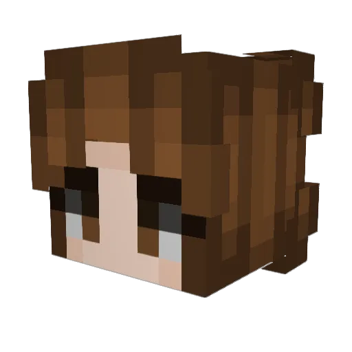 Feimin Minecraft avatar head, 3D render