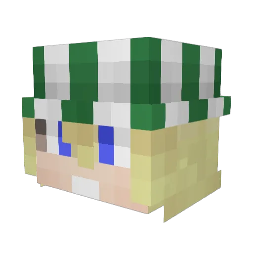 FeiniLover69 Minecraft avatar head, 3D render