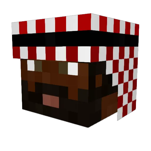 Feinstes_Wasser Minecraft avatar head, 3D render