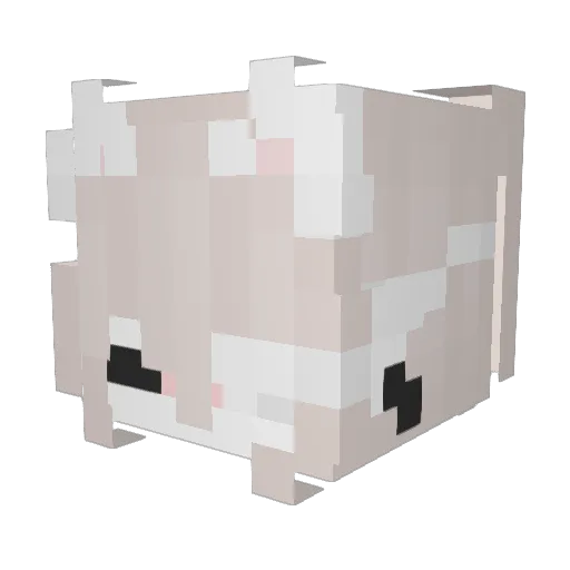 FeisLee Minecraft avatar head, 3D render
