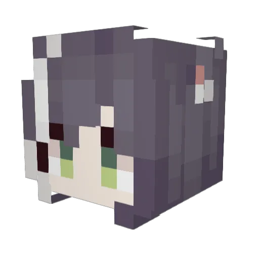 FeiseSnow Minecraft avatar head, 3D render