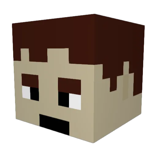 FeistyMonkey869 Minecraft avatar head, 3D render