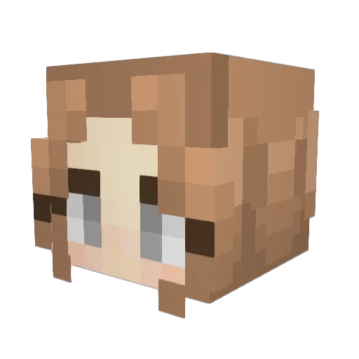 Feisty_Gold Minecraft avatar head, 3D render