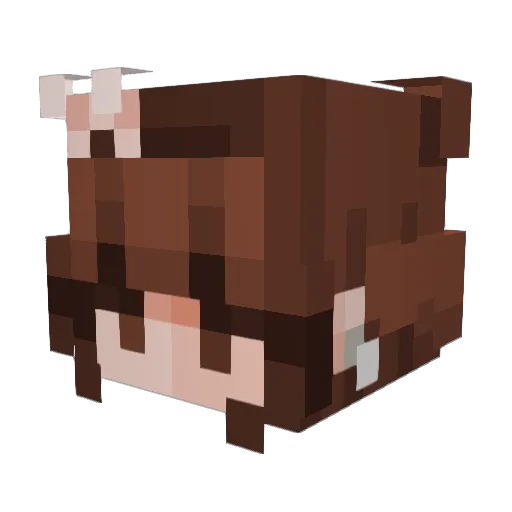 Feitii Minecraft avatar head, 3D render