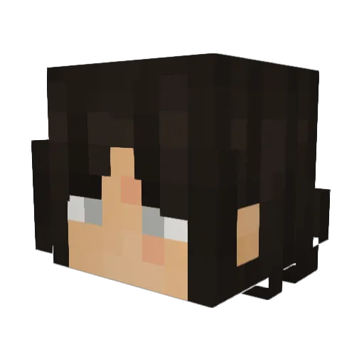 Feitzzyfir Minecraft avatar head, 3D render