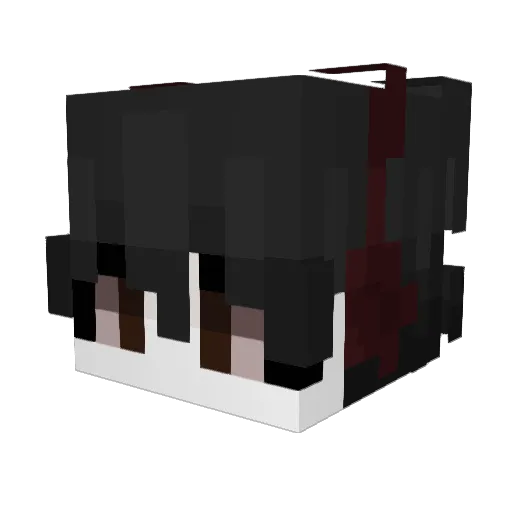 Feixin_622 Minecraft avatar head, 3D render