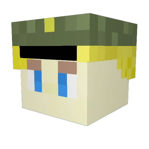 Fejnaaa Minecraft avatar head, 3D render