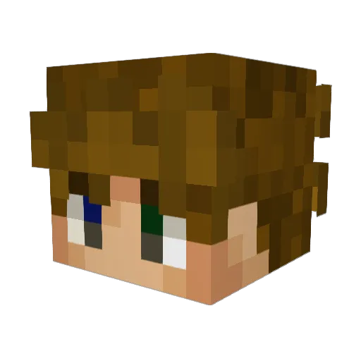 Fel1xB Minecraft avatar head, 3D render