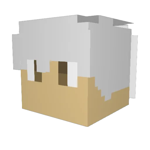 Fel73 Minecraft avatar head, 3D render