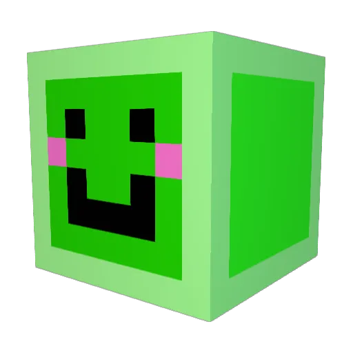 Felcweam Minecraft avatar head, 3D render