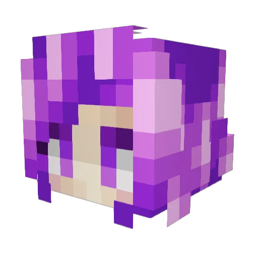 Feldhern Minecraft avatar head, 3D render