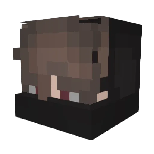 Feldmann12345678 Minecraft avatar head, 3D render