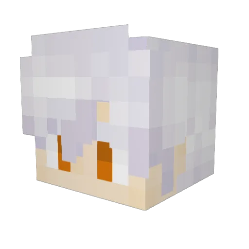 Feldom Minecraft avatar head, 3D render