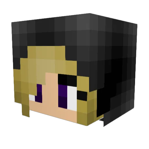 Feleax Minecraft avatar head, 3D render