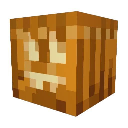 FelesFelix Minecraft avatar head, 3D render