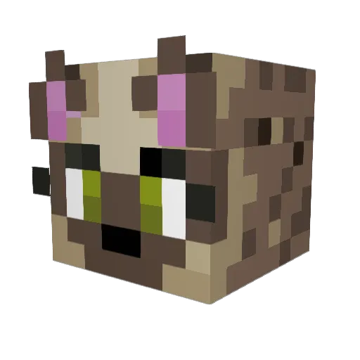 FelesNoctis Minecraft avatar head, 3D render