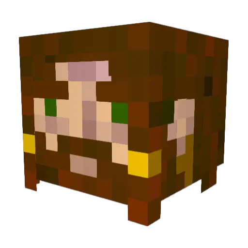 Felewin Minecraft avatar head, 3D render