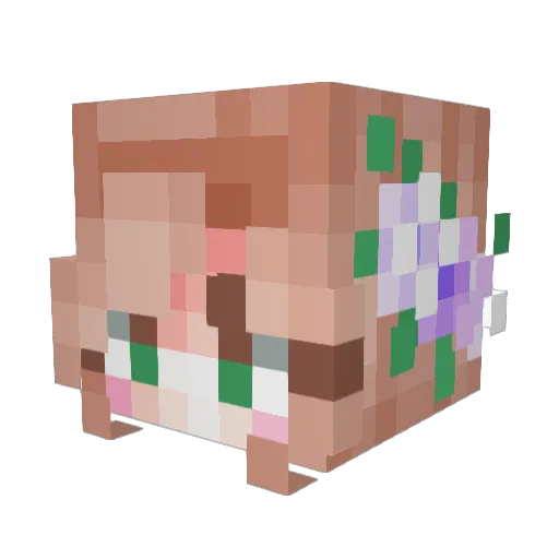 Felexa Minecraft avatar head, 3D render