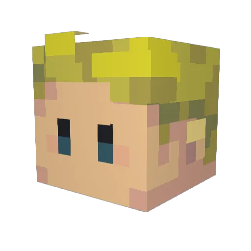 Felgan Minecraft avatar head, 3D render