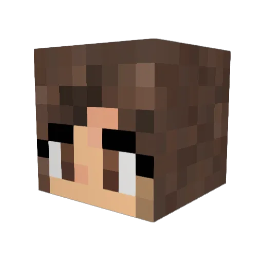 Feli273 Minecraft avatar head, 3D render