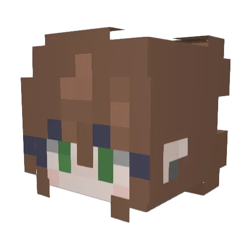 Feli3n4556 Minecraft avatar head, 3D render