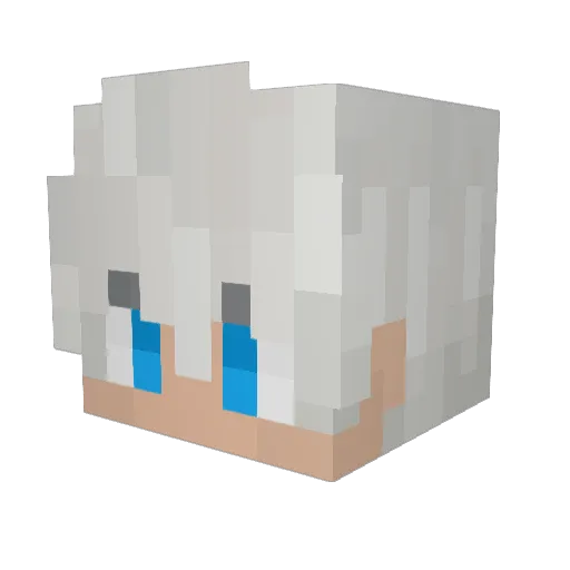 Feli76 Minecraft avatar head, 3D render
