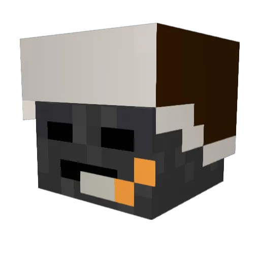 FeliSanXD Minecraft avatar head, 3D render