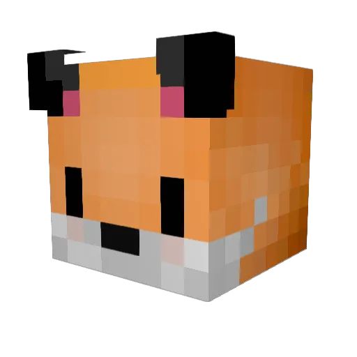 Feli_xD Minecraft avatar head, 3D render