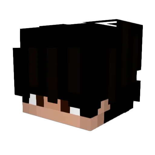 Felich100 Minecraft avatar head, 3D render