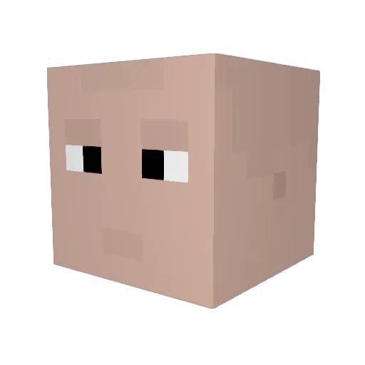 Felichoug Minecraft avatar head, 3D render