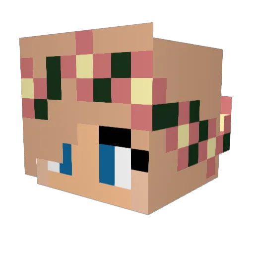Felicia___ Minecraft avatar head, 3D render
