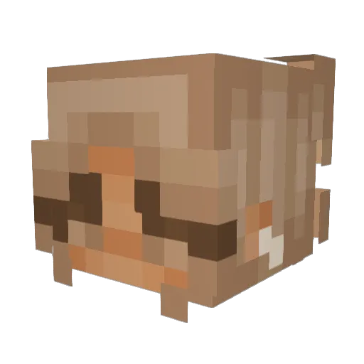 Feliciq Minecraft avatar head, 3D render