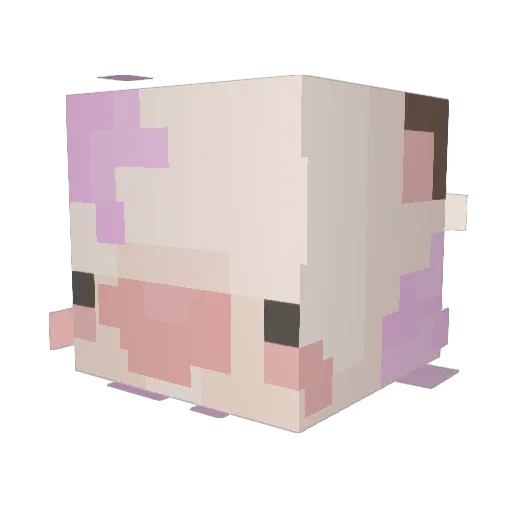 Felicity Minecraft avatar head, 3D render