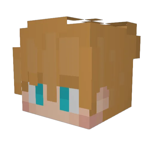 Felicius136 Minecraft avatar head, 3D render