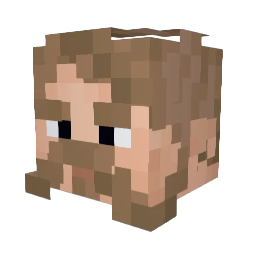 Feliks Minecraft avatar head, 3D render