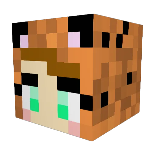 FelinaeLynx Minecraft avatar head, 3D render