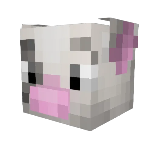 Feline12 Minecraft avatar head, 3D render