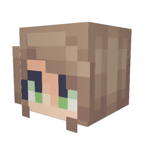 Feline4836 Minecraft avatar head, 3D render