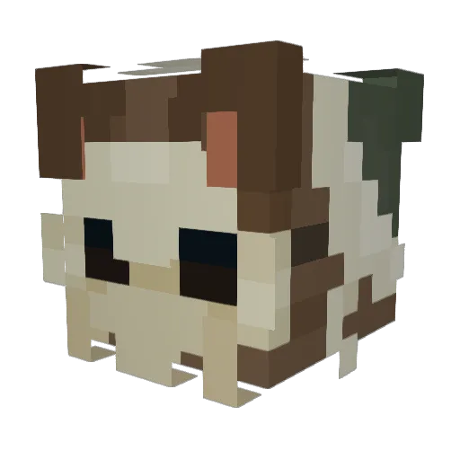 FelineUnknown Minecraft avatar head, 3D render