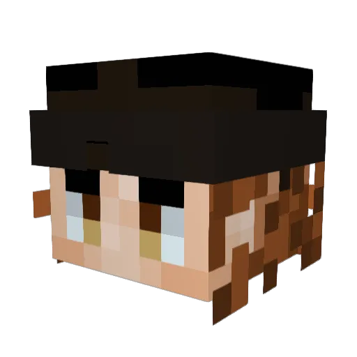 Felino2 Minecraft avatar head, 3D render