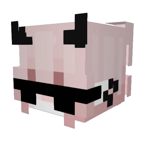 Felipasso Minecraft avatar head, 3D render