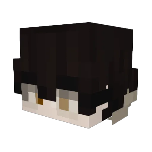Felipe1417 Minecraft avatar head, 3D render