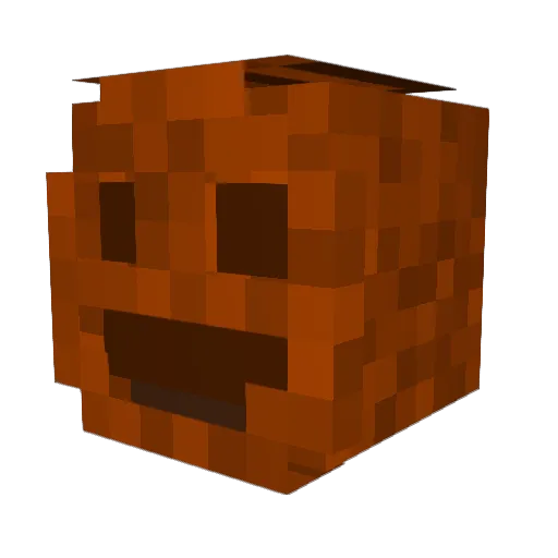 Felipe6fmg Minecraft avatar head, 3D render