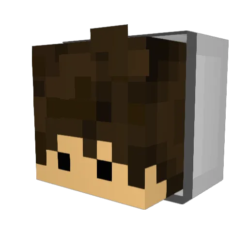 Felipe789 Minecraft avatar head, 3D render