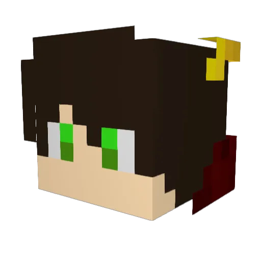 FelipeRaio4563 Minecraft avatar head, 3D render