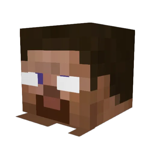 FelipeThePig Minecraft avatar head, 3D render